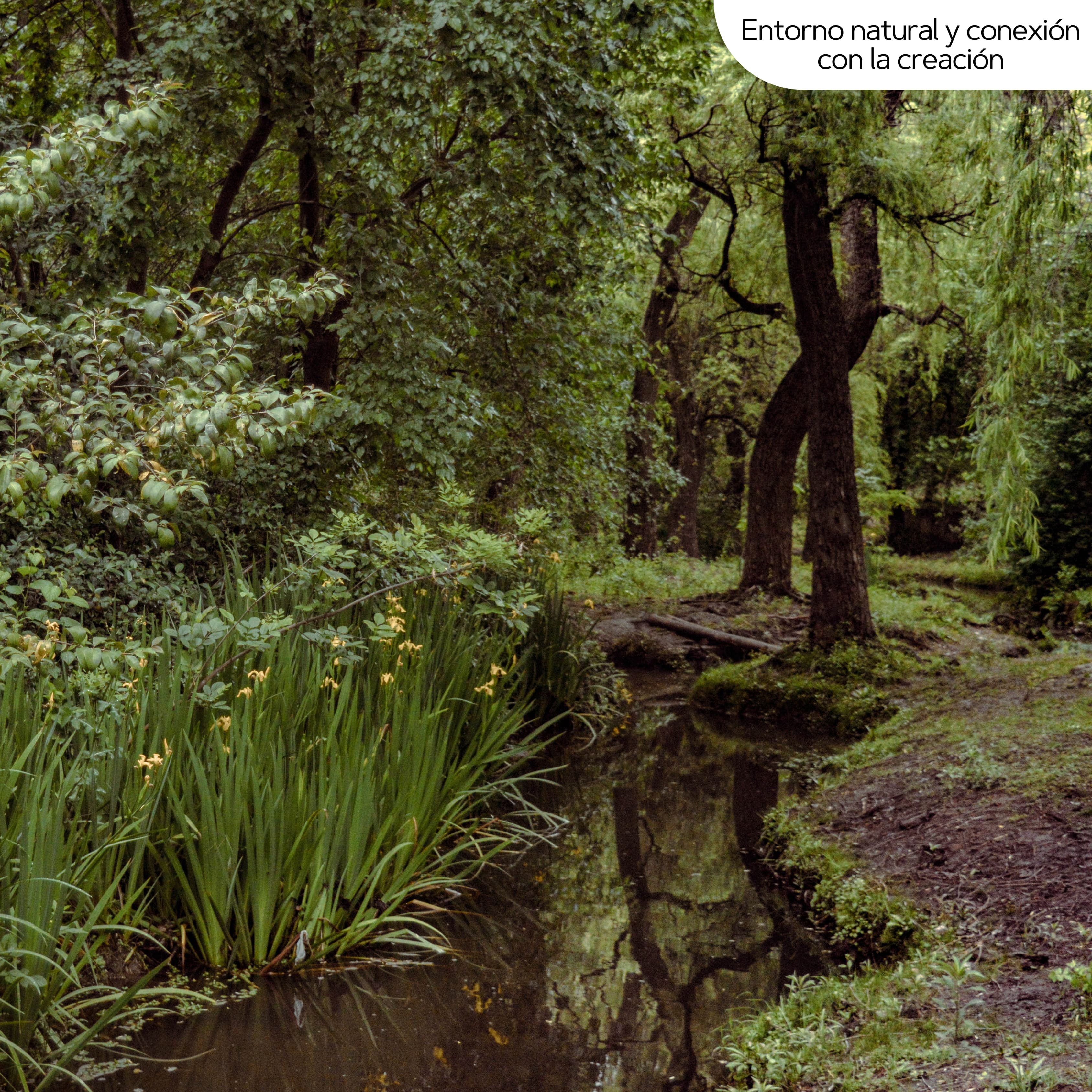 Naturaleza en Los Quebrachos